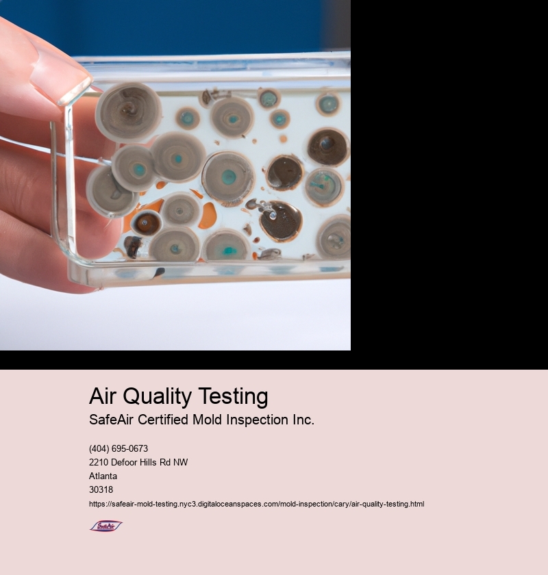 Air Quality Testing