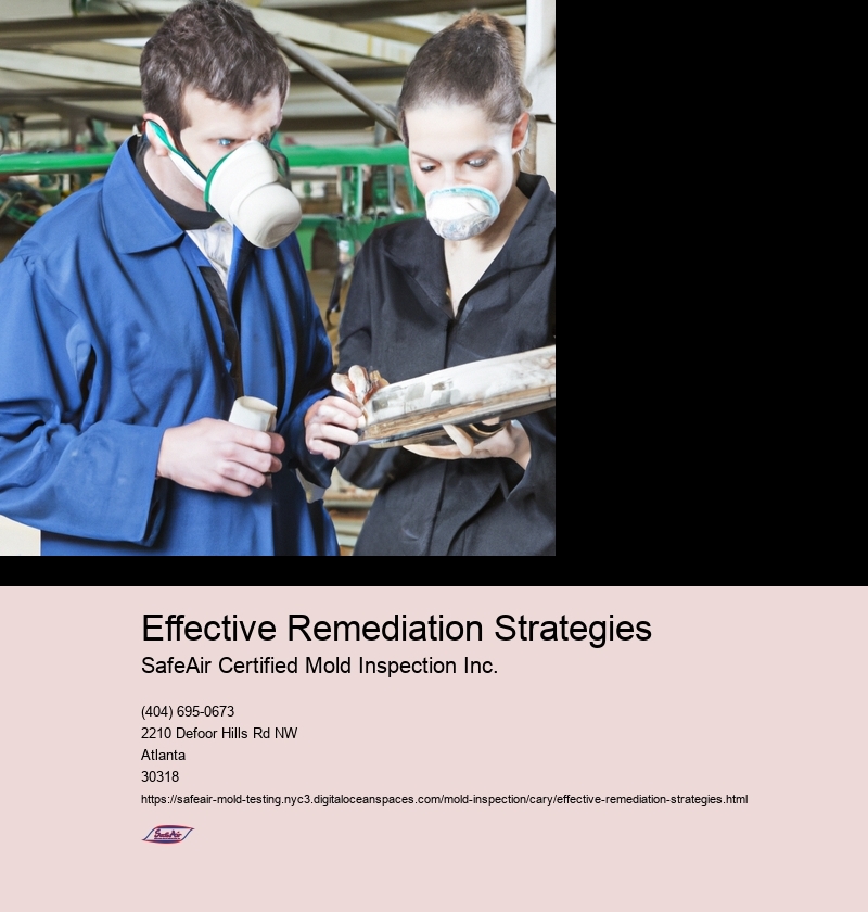 Effective Remediation Strategies