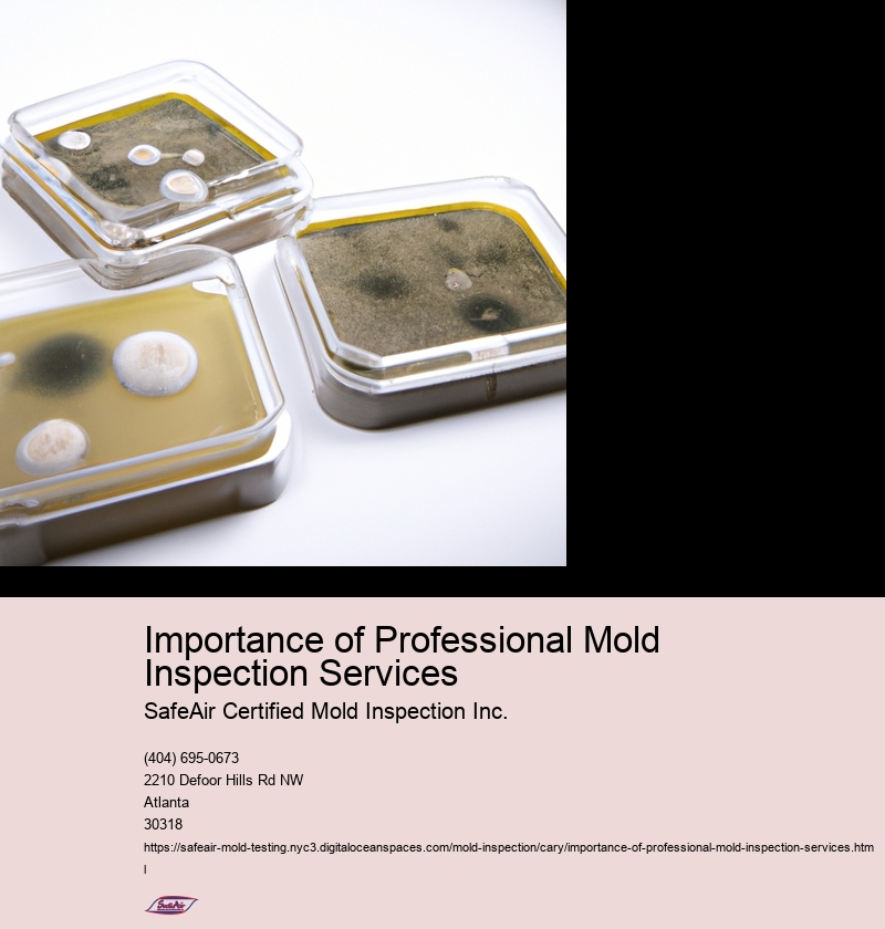 Importance of Professional Mold Inspection Services