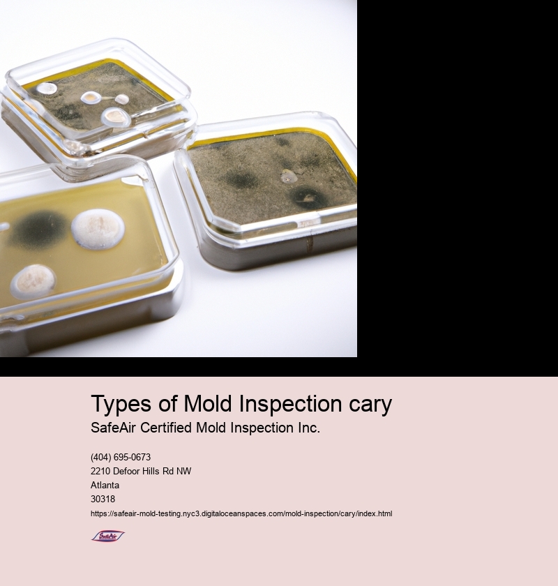 Types of Mold Inspection cary