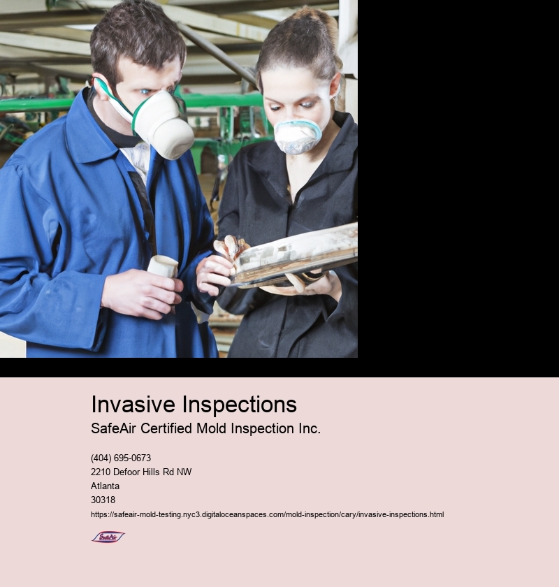 Invasive Inspections