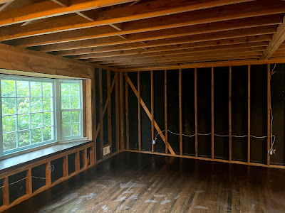 Surface sampling for mold growth