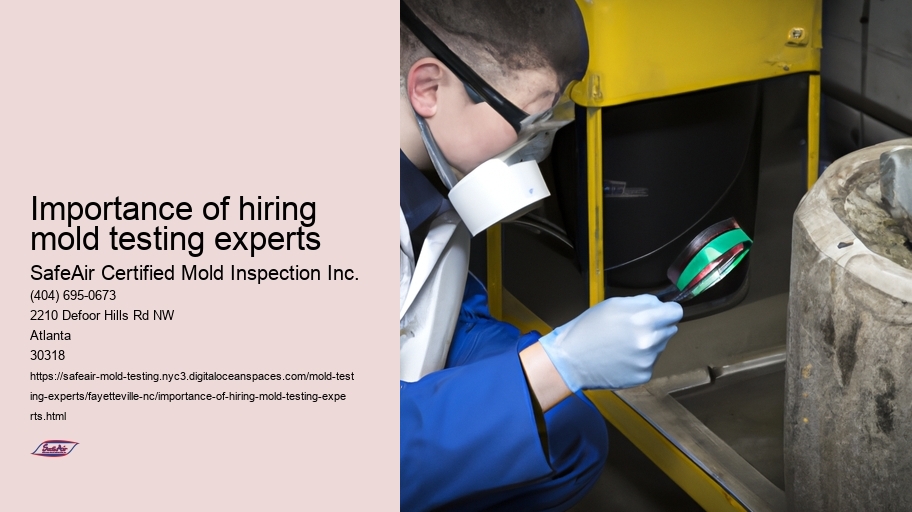 Importance of hiring mold testing experts