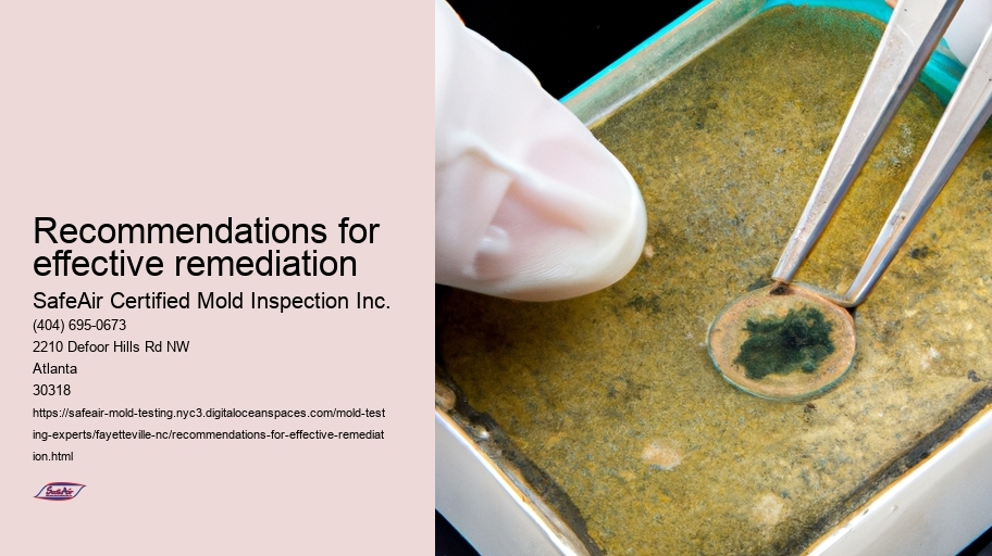 Recommendations for effective remediation