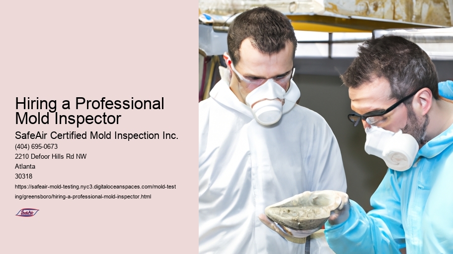 Hiring a Professional Mold Inspector