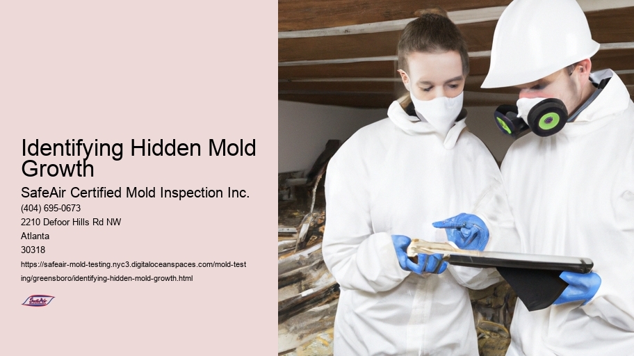 Identifying Hidden Mold Growth