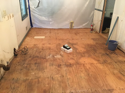 Surface sampling for visible mold