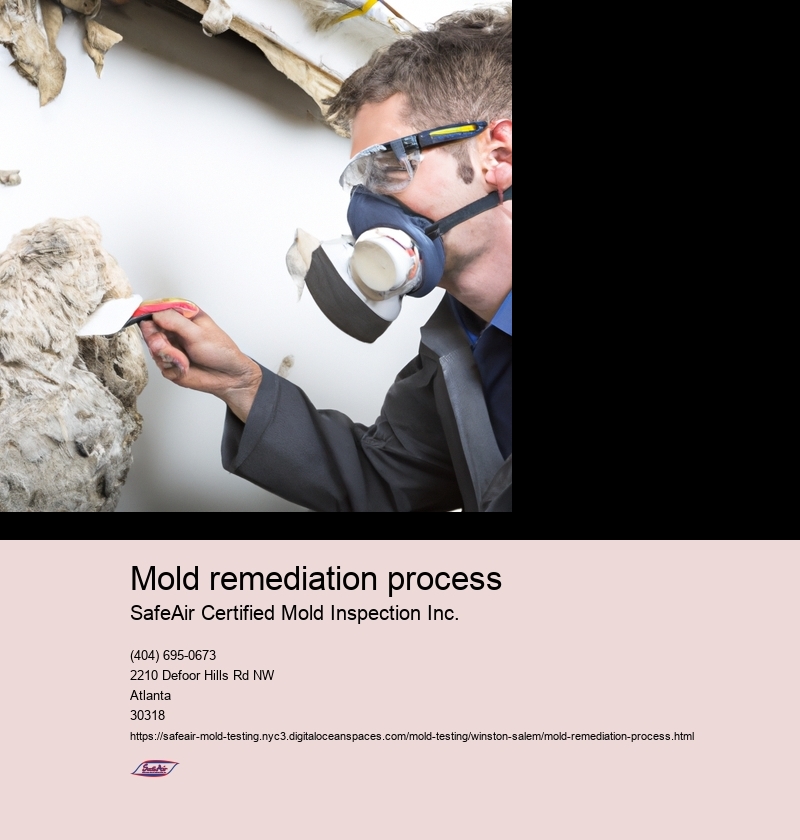 Mold remediation process